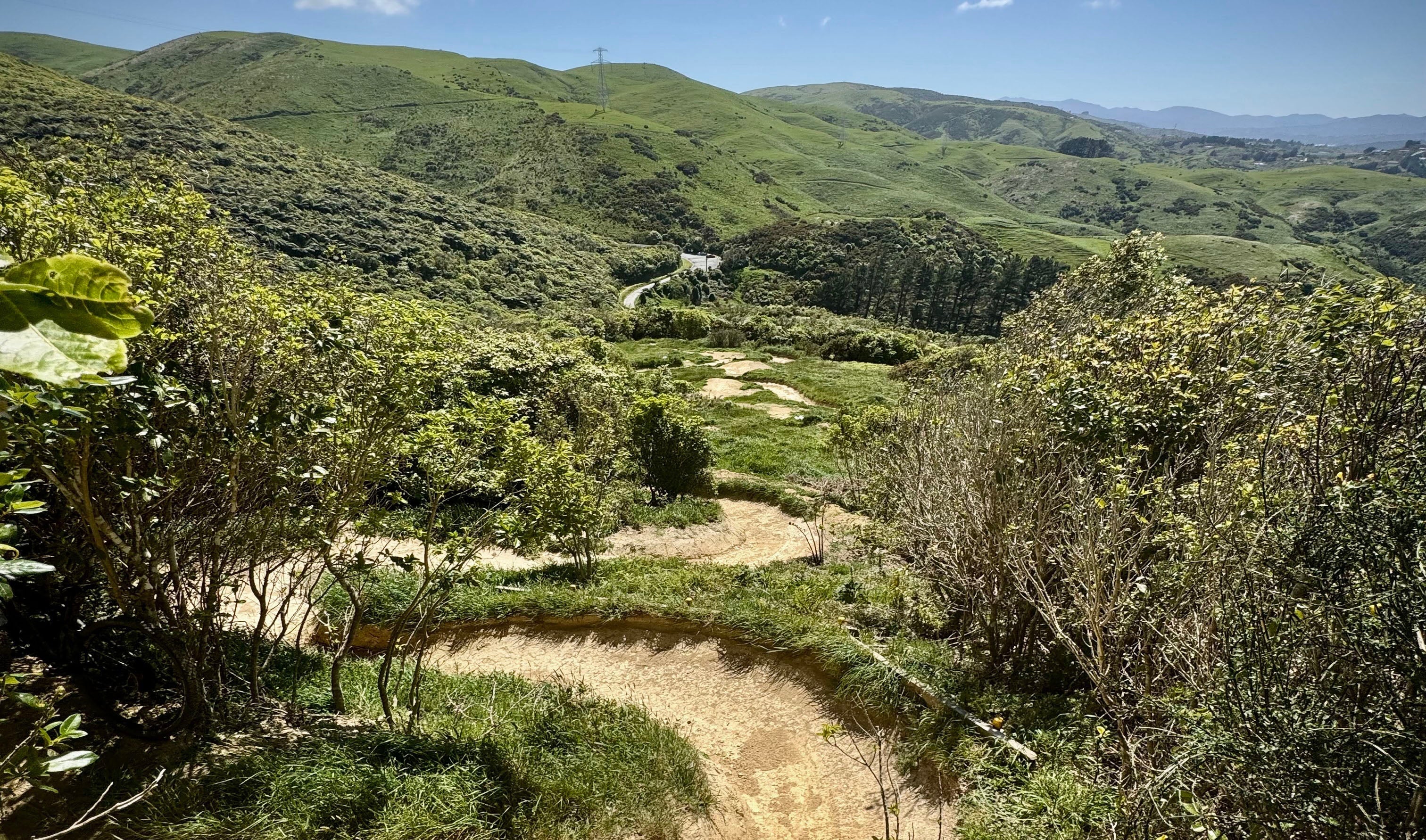 Belmont Regional Park Tees